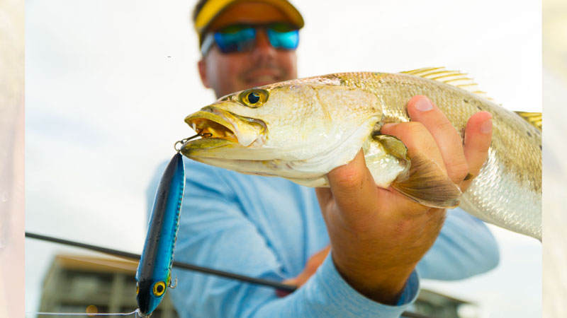Louisiana Sportsman