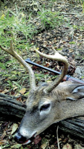 This buck was 31/2 years old, an adult, but the nutrition needed to grow a nice rack is lacking in the swamp forests of Pearl River WMA.