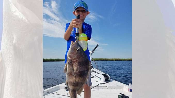 David Herard, 7, shows off the West Division’s winning sheepshead, which tipped the certified scales at Hackberry Fishing Camp and Marina at 5.75 pounds. For his catch, Herard is set to receive a $1,500 Academy Sports & Outdoor gift card at the CCA awards banquet on Oct. 17 in Baton Rouge. (Photo courtesy of CCA Louisiana)