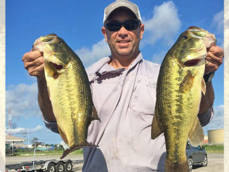 Venice bass are biting on higher water since the amount of roseau cane has diminished.