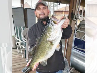 Corey Harris of Chatham with his early Christmas present, a 13.57 lunker largemouth from Caney Lake.