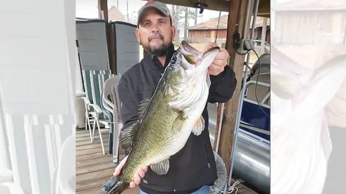 Corey Harris of Chatham with his early Christmas present, a 13.57 lunker largemouth from Caney Lake.