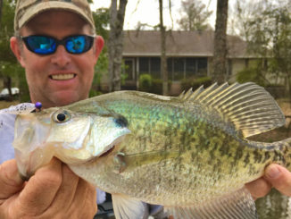 Jeff Bruhl tight-lines crappie jigs to catch slabs this time of year.
