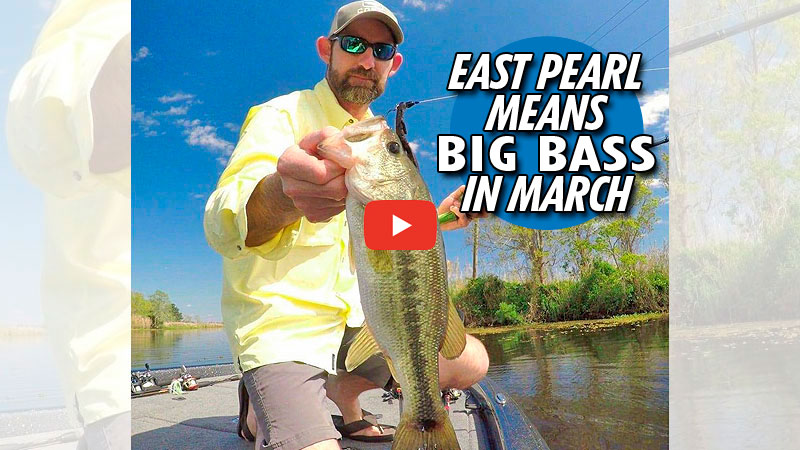 Chris Basey has been fishing the Northshore all his life, and he said March is when bass anglers can take advantage of big bass moving into the shallows.