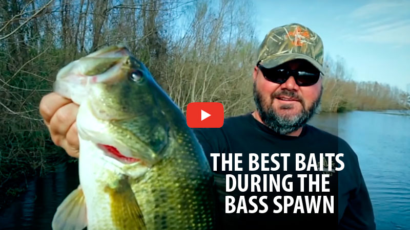 The bass spawn is the best time of year to catch the fish of a lifetime. In this video, Greg Hackney breaks down his favorite baits to use during the spawn.