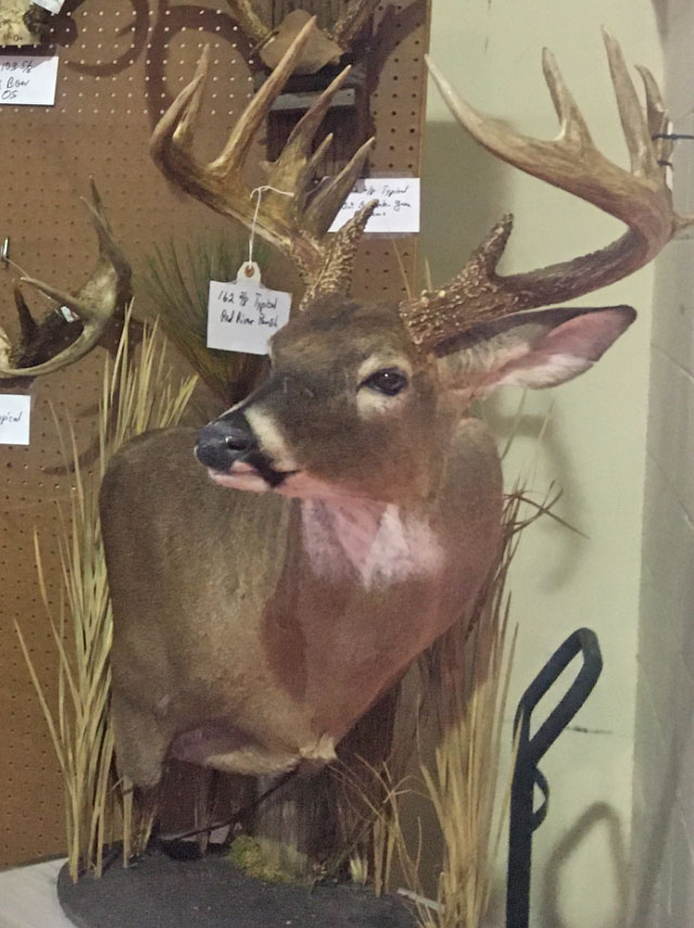 Jerry Denman led the Louisiana Gun category with his 162 2/8 monster from Red River Parish.