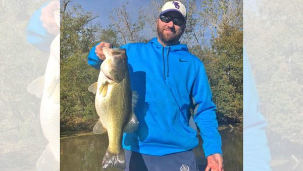 A bass estimated between 81/2 and 9 pounds made Jarrod Derouen’s day when he caught it on March 7 in a borrow pit in Lake Fausse Pointe. The New Iberia angler was flippin’ a junebug Zoom Baby Brush hogs in and around brush when the brute bit.