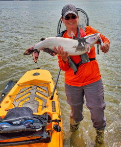 Robyn Bordelon catches a lot of catfish from her kayak, but this one proved to be special. The rare fish was caught in the Mississippi River in south Louisiana and after a quick photo, was revived and released. (Photo courtesy of Robyn Bordelon)