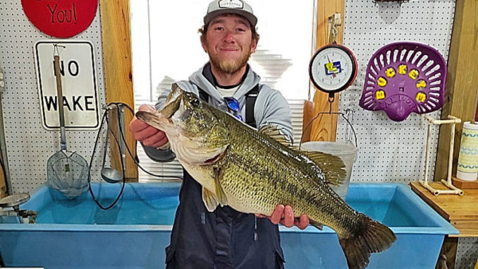 Dayton Trichel of Provencal caught this huge Toledo Bend 11.16-pounder on a hard jerkbait fishing just south of Big Bass Marina Feb. 22.