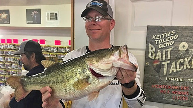 Haughton’s Brad Watson displays his immense Toledo Bend 11.51-pounder taken in Palo Gaucho March 6 on a black-blue, Texas-rigged, weightless Senko in 3 feet of water. (Photo courtesy of the Toledo Bend Lake Association)