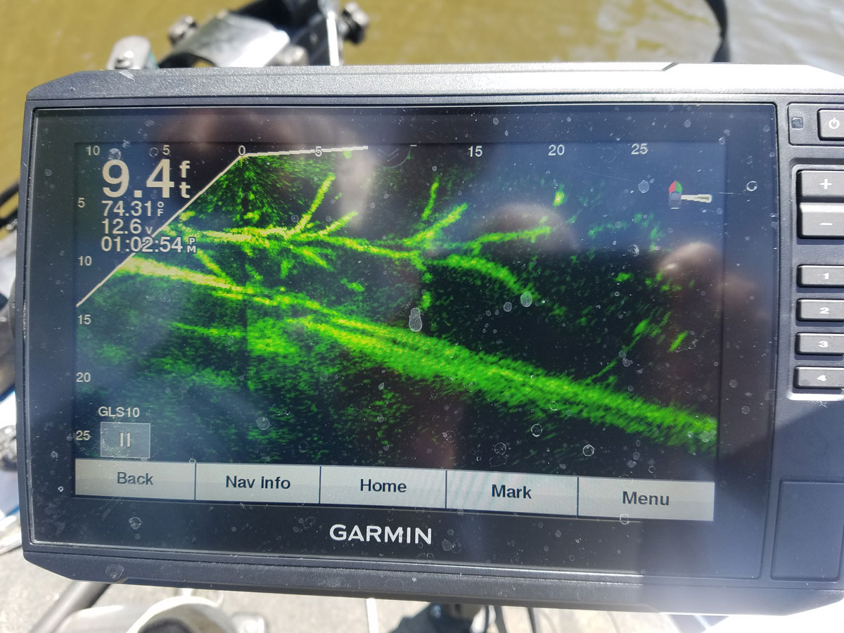 Garmin Panoptix LiveScope clearly shows the laydown and the crappie.