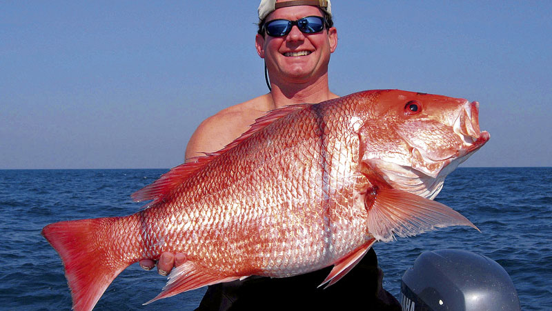 Species spotlight: Red snapper - Louisiana Sportsman