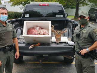 Agents with seized deer that was taken at night and out of season.