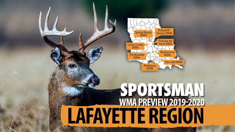 Louisiana’s 2020-21 hunting preview - Lafayette Region - Louisiana Sportsman