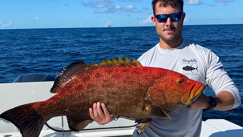 Jacob Nosworthy caught this rare fireback grouper that measured 39 inches in length while fishing Green Canyon out of Cocodrie, Louisiana.