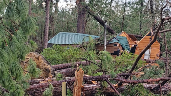 This guest cabin at Sam Houston Jones Park is destroyed, as is the pine forest surrounding it.