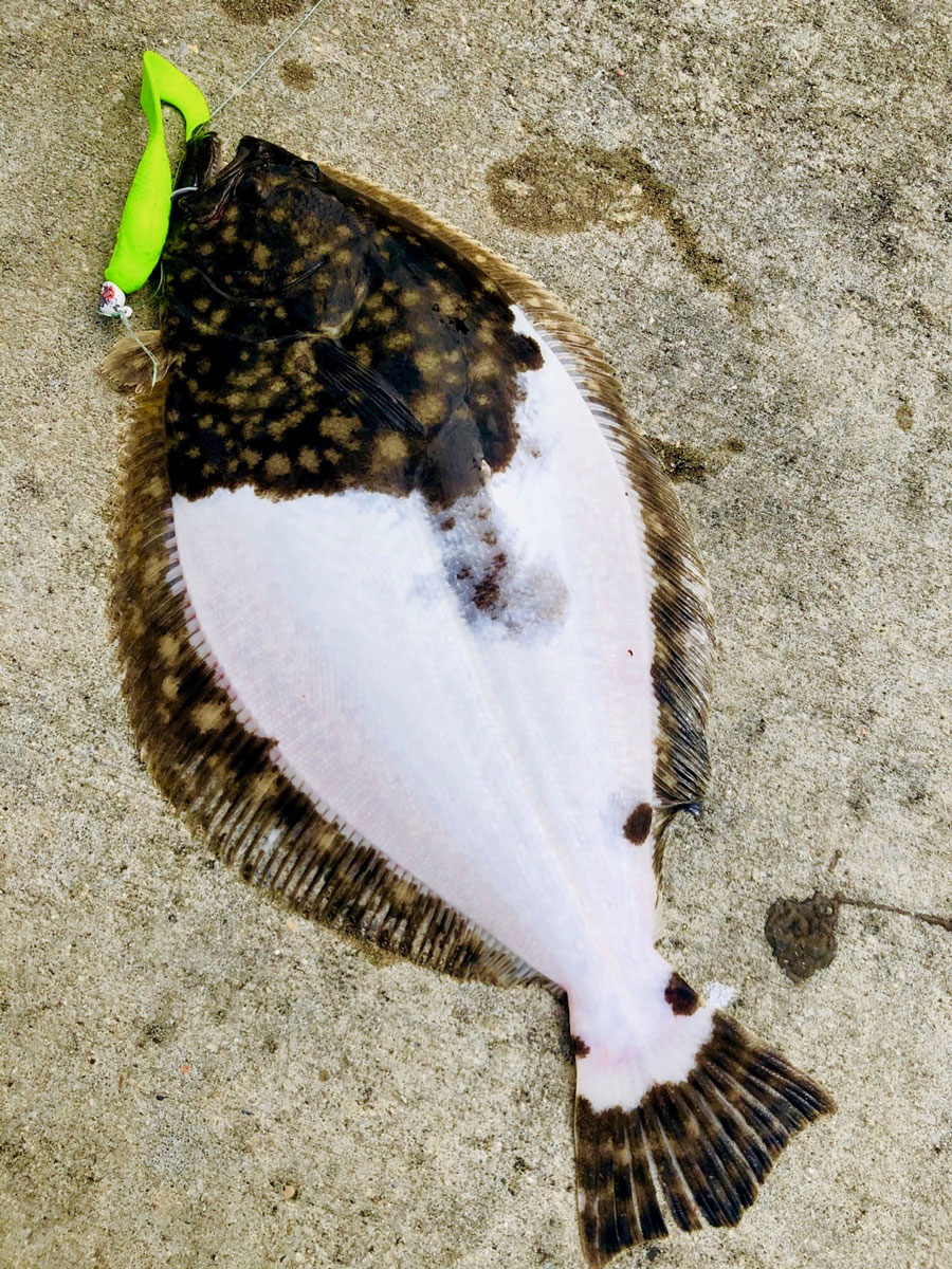 When Austin Meche first pulled up this odd-colored flounder, he thought it had gotten caught up in a white plastic Wal-Mart bag.