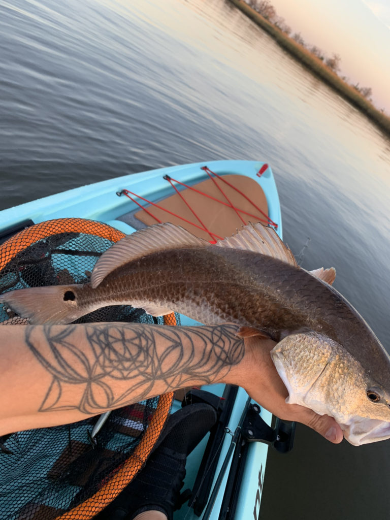Kayak fishing for redfish
