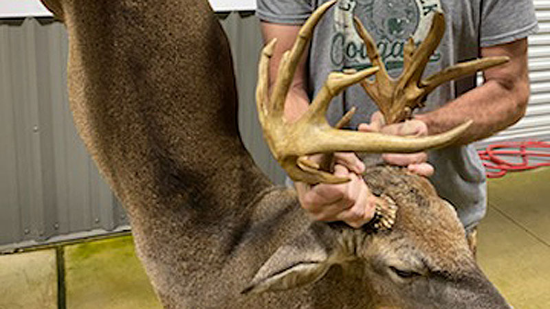 Brett Nobles killed a trophy buck on the 50-acre plot of land he lives on in Lincoln Parish on November 15.