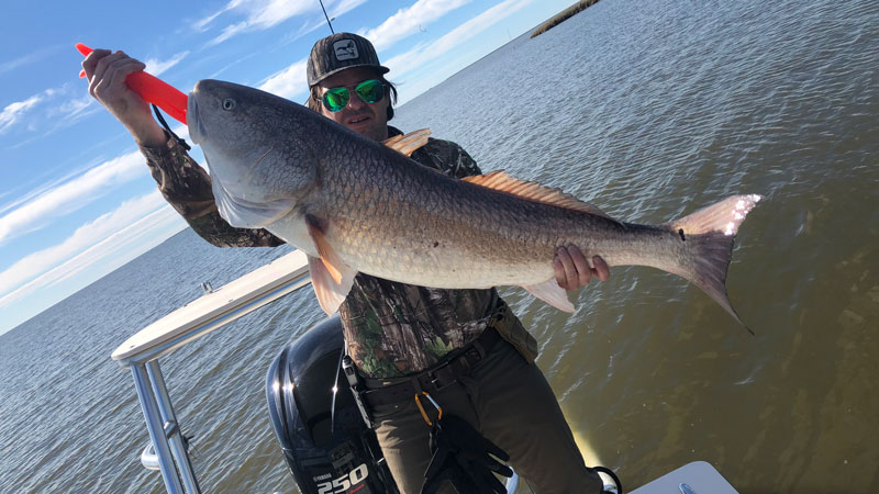 Bennett Porche sets personal record with 40-pound bull red
