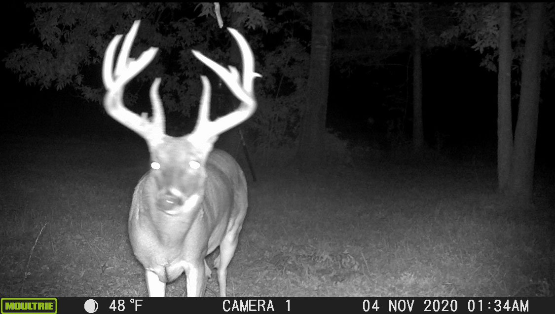 This trail cam photo was taken a few weeks before the buck was killed.