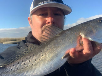 Reggie Legendre catches big trout like this off the bank and in his small eight-foot Pelican boat this time of year all along Hwy. 1.
