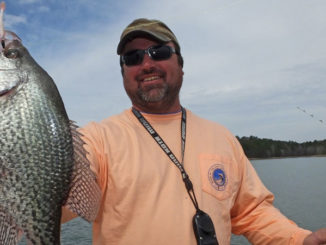Threading a minnow on a jighead behind a soft-plastic bait gives your offering increased bulk and some flavor. (Photo by Terry Madewell)