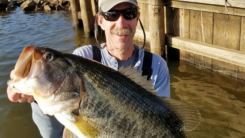 Lunker Toledo Bend bass were caught the last weekend of February by Chris Ebel of Many and Jason Courville of Hemphill, Tex.