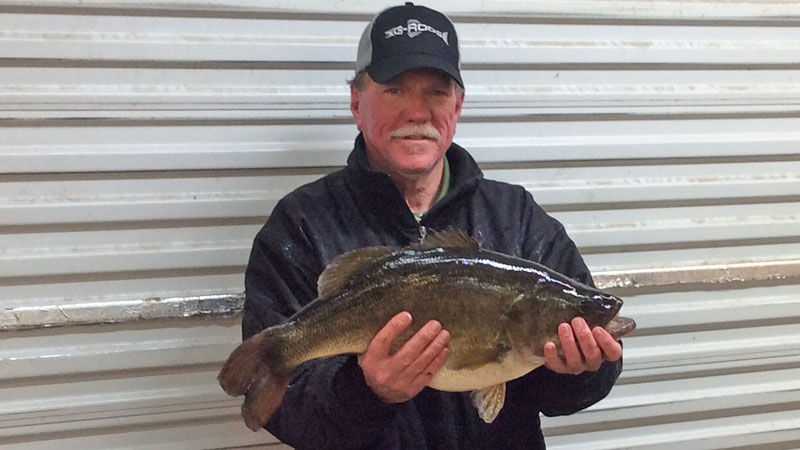 Greg Young got this special 10.77 pound largemouth treat on his first ever trip to Toledo Bend.