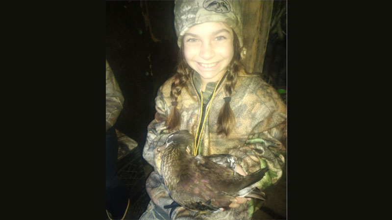Lilly's first wood duck hen
