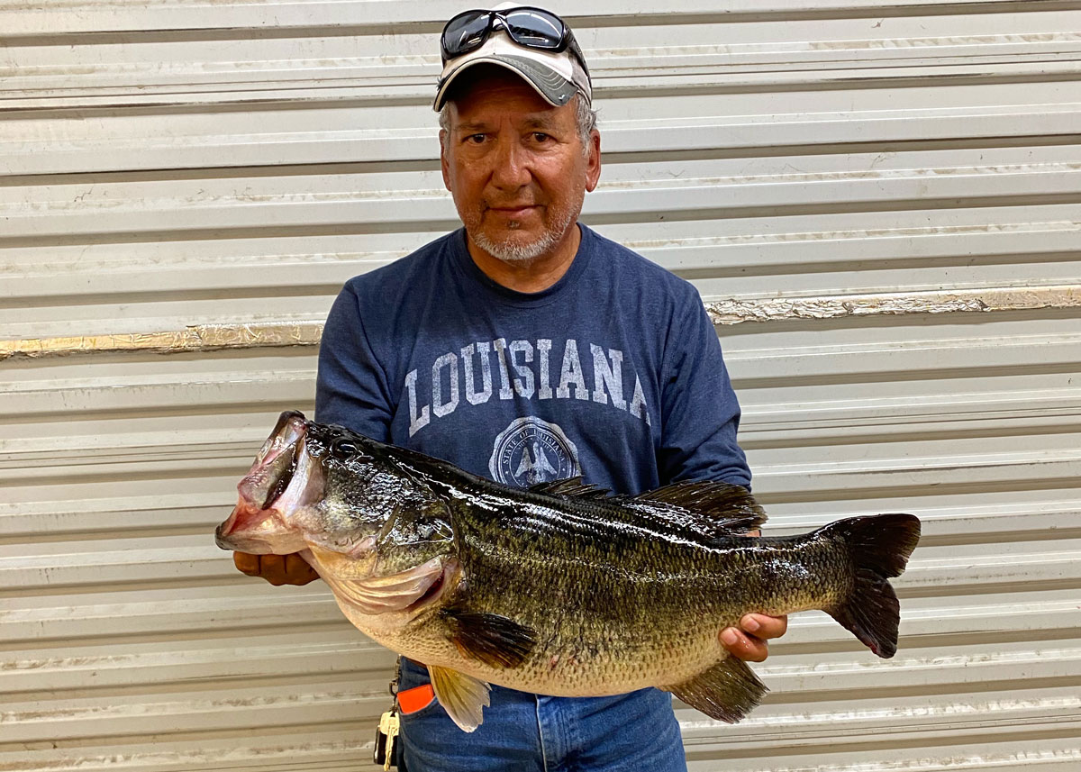 David Perales of Oakdale had to unwrap this 10.14-pound, Toledo Bend bass from a tangled buck bush before putting her safely in his boat.