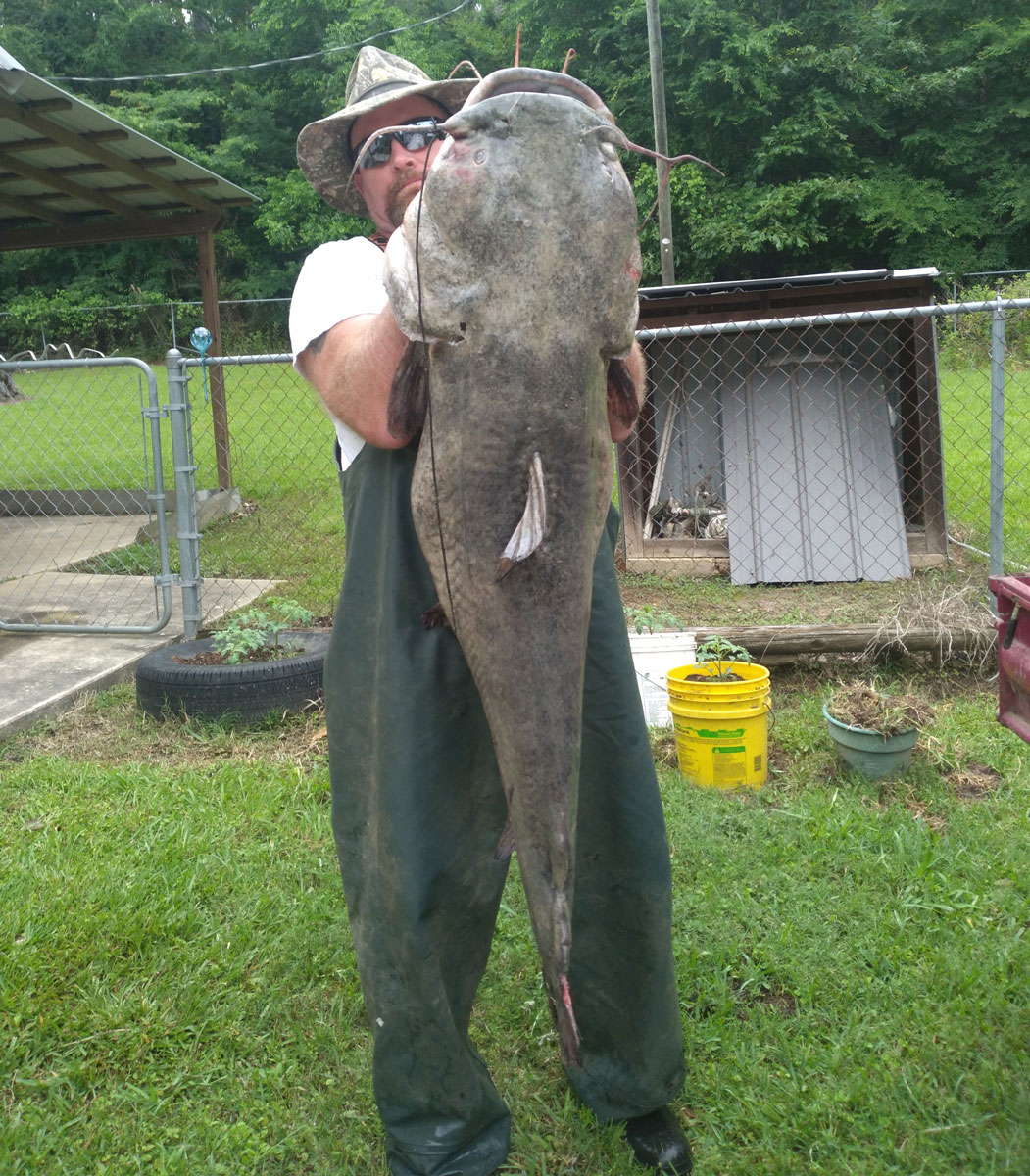 J.R. Watson of Converse caughtthis 72-pound catfish on a trotline he’d strung near his house on Toledo Bend Reservoir.