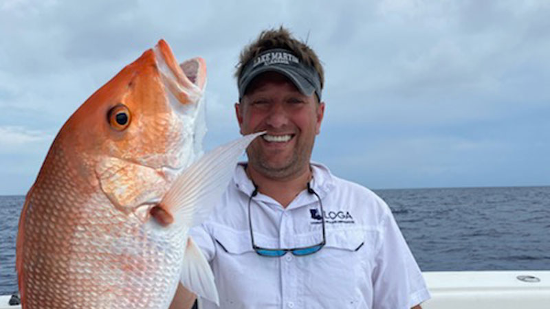 Gifford's red snapper