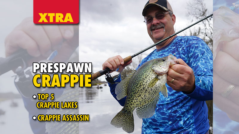 February is known as the beginning of sac-a-lait time for serious anglers. These delectable panfish begin to congregate in predictable staging areas as spawning season approaches.