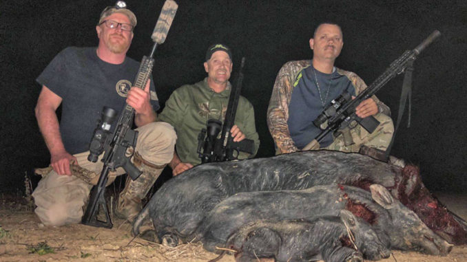 Kevin Ryan, Shawn Doherty and Shane Kessler use thermal optics to remove feral pigs from agricultural land at night.