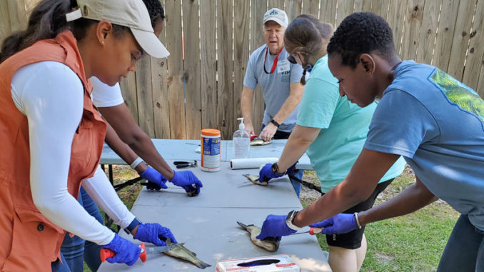 An Aquatic Volunteer Instructor teaches attendees how to clean fish. (Photo courtesy LDWF)