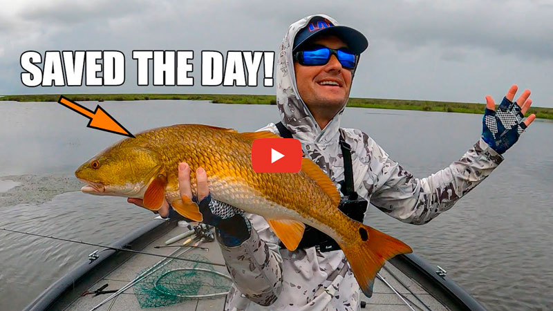 Save Red Fish Louisiana Sportsman
