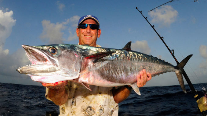 Big king mackerel are often referred to as “smokers” for their ability to “smoke” line off a reel.