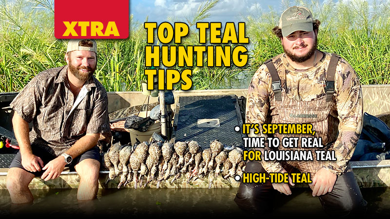 No matter how many birds decide to show up this month, teal hunters will get 16 days to hunt and a six-bird bag limit. Put these tips to work for you this month.