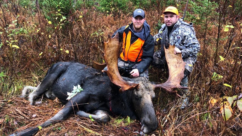 Vermont moose hunt