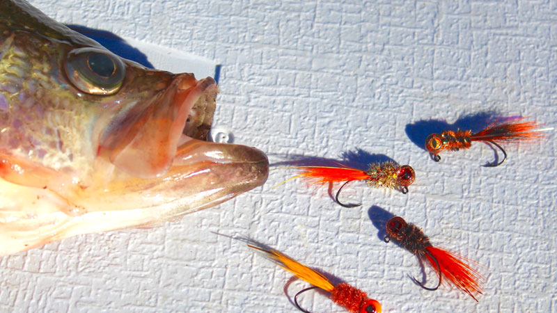 crappie fishing wax works with pickle lure Fin & Ink Lures | Artist Signature Set #3 The all new Mr Fishing with Pickled Minnows for