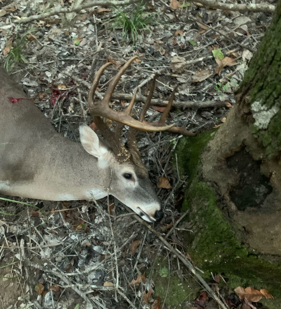 Louisiana Sportsman