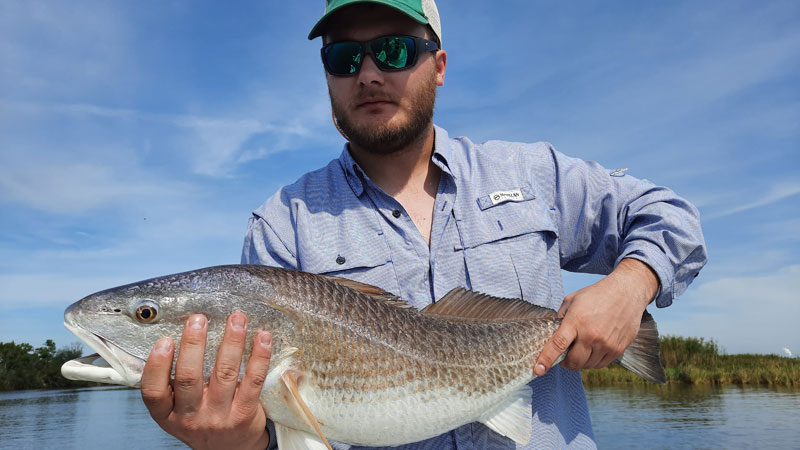 Peyton's 31-inch redfish