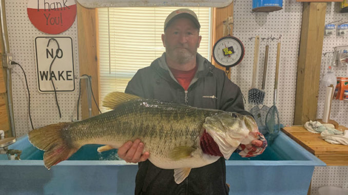 Jimmie Box of DeRidder with the 12.16-pound bass he caught at Toledo Bend on March 26.