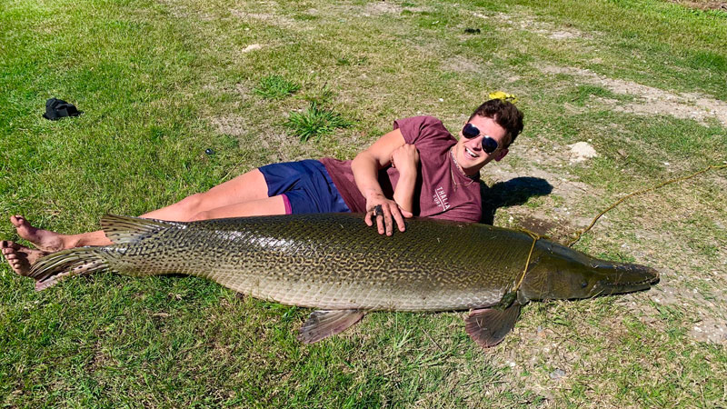 84-inch Lake Pontchartrain alligator gar