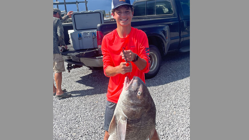 Rustin Guidry from Larose caught this 41.55-pound drum on cracked crab out of Leeville, La.