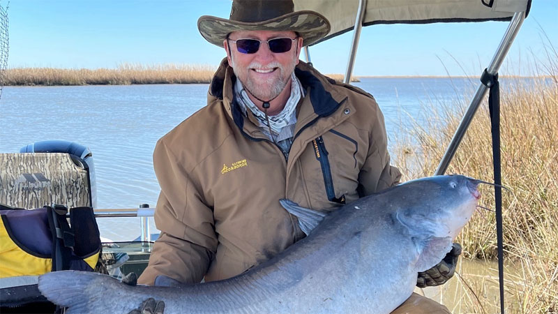 A nice 55-pound blue catfish caught and released in the marsh out of Intracoastal City this past winter by Randall Duhon of Abbeville.