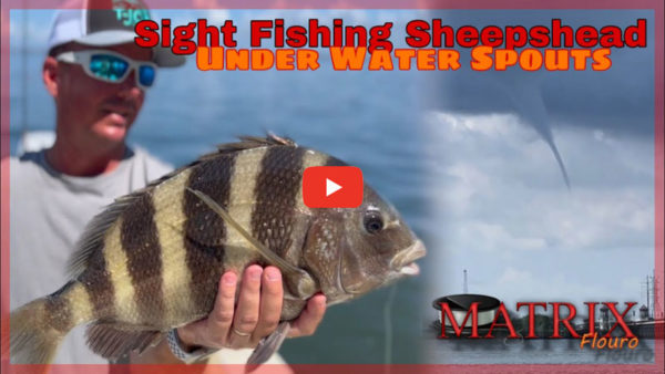 Sight fishing for sheepshead with Matrix Fluorocarbon