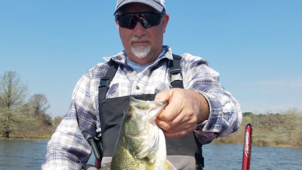 Toledo bass offer anglers a chance to throw the bait of their choice