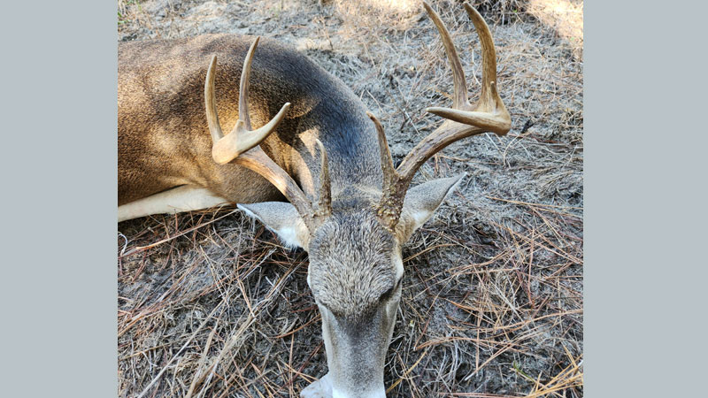 Adam Chiras killed this Vernon Parish 10-point on Oct. 25 from his lease on the south side of Annacoco Lake.